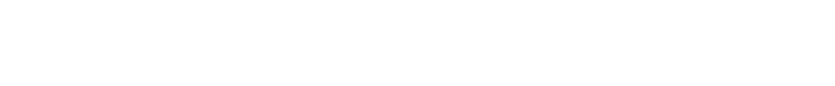DS Solution